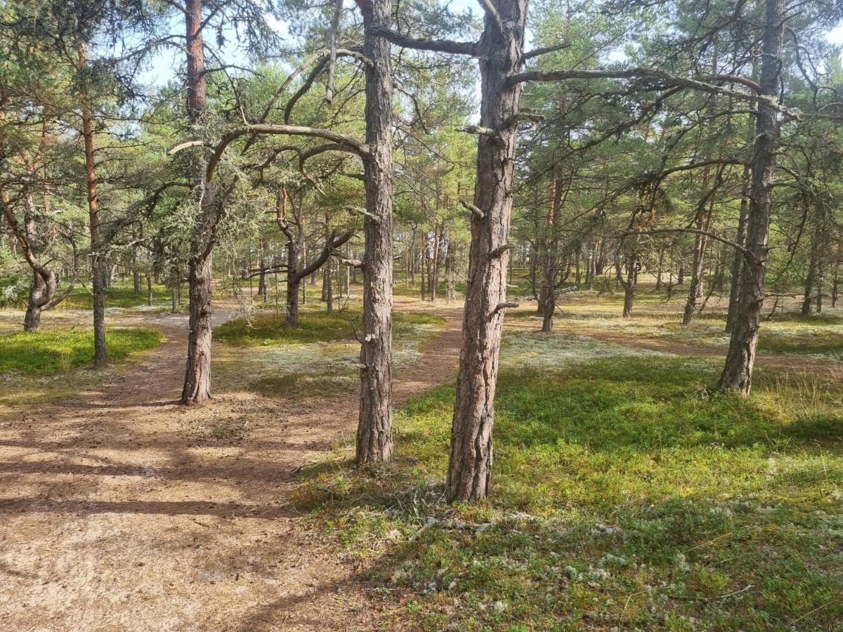 Norwegian Saunahouse Haapse Экстерьер фото